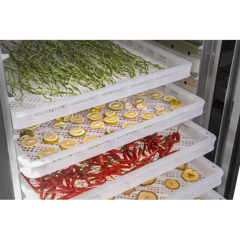 35 to 55 Degree Drying Machine - Commercial Food Dehydrator 评论和价格