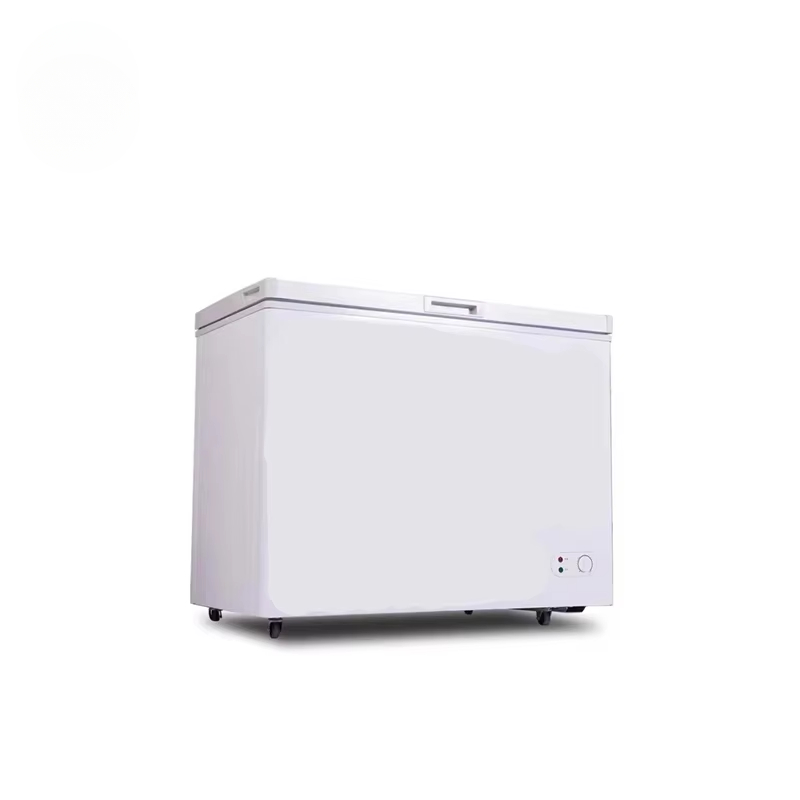 100~300 Liters Small Capacity  - Commercial Chest Freezer 评论和价格
